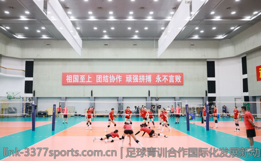 足球青训合作国际化发展新动向